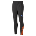 PUMA IndividualcuPUMA Training Pants - Best Buy Soccer