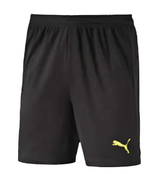 PUMA IT Evo Training Shorts Black - Best Buy Soccer