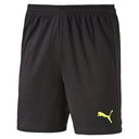 PUMA IT Evo Training Shorts Black - Best Buy Soccer