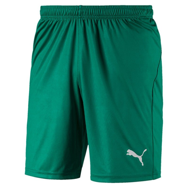 PUMA Liga Short - Best Buy Soccer