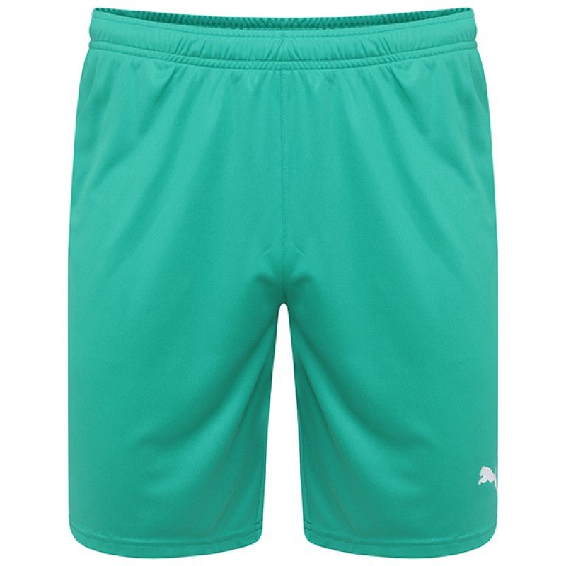PUMA Liga Short - Best Buy Soccer