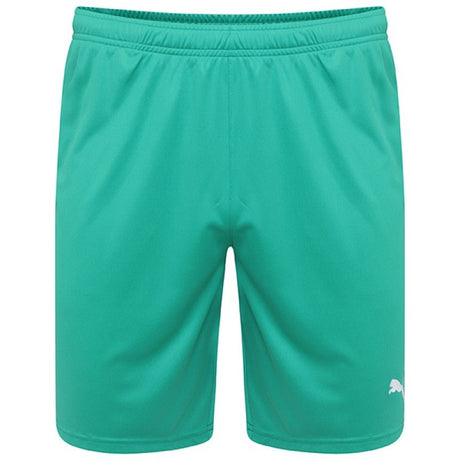 PUMA Liga Short - Best Buy Soccer