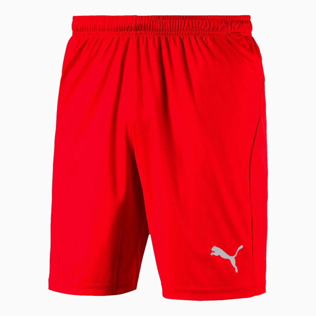PUMA Liga Short - Best Buy Soccer