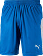 PUMA Liga Shorts Electric Blue - Best Buy Soccer