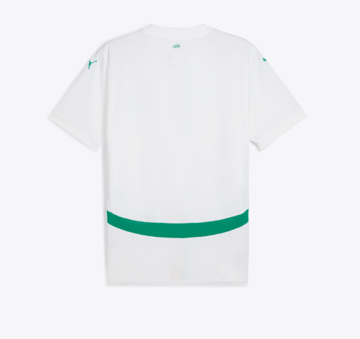 PUMA Men's Senegal Home Jersey 25 Replica White - Best Buy Soccer