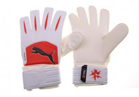 PUMA PowerCat 3.10 Grip RC Goalkeeper Gloves - Best Buy Soccer