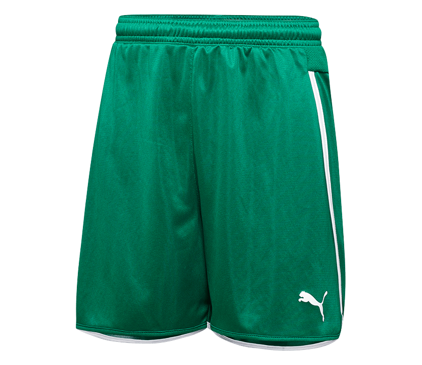 PUMA Speed Shorts - Best Buy Soccer