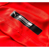 PUMA Switzerland Home Jersey 2014 Red - Best Buy Soccer