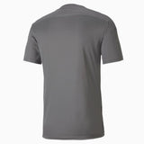 PUMA Team Final 21 Graphic Jersey - Best Buy Soccer