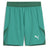 PUMA Team Final Shorts - Best Buy Soccer