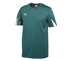 PUMA Team Jersey Forest - Best Buy Soccer