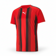 PUMA Team Liga 25 Stripe Jersey - Best Buy Soccer