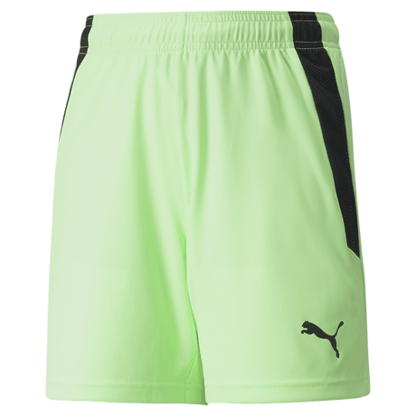 PUMA Team Liga Shorts - Best Buy Soccer