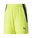 PUMA Team Liga Shorts - Best Buy Soccer