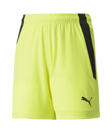 PUMA Team Liga Shorts - Best Buy Soccer