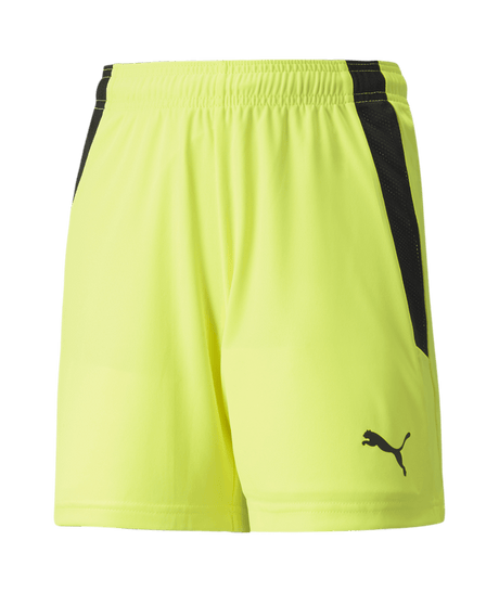 PUMA Team Liga Shorts - Best Buy Soccer