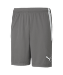 PUMA Team Liga Shorts - Best Buy Soccer