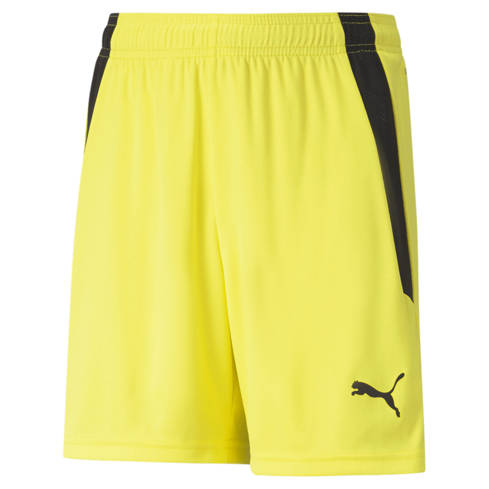 PUMA Team Liga Shorts - Best Buy Soccer
