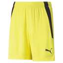 PUMA Team Liga Shorts - Best Buy Soccer