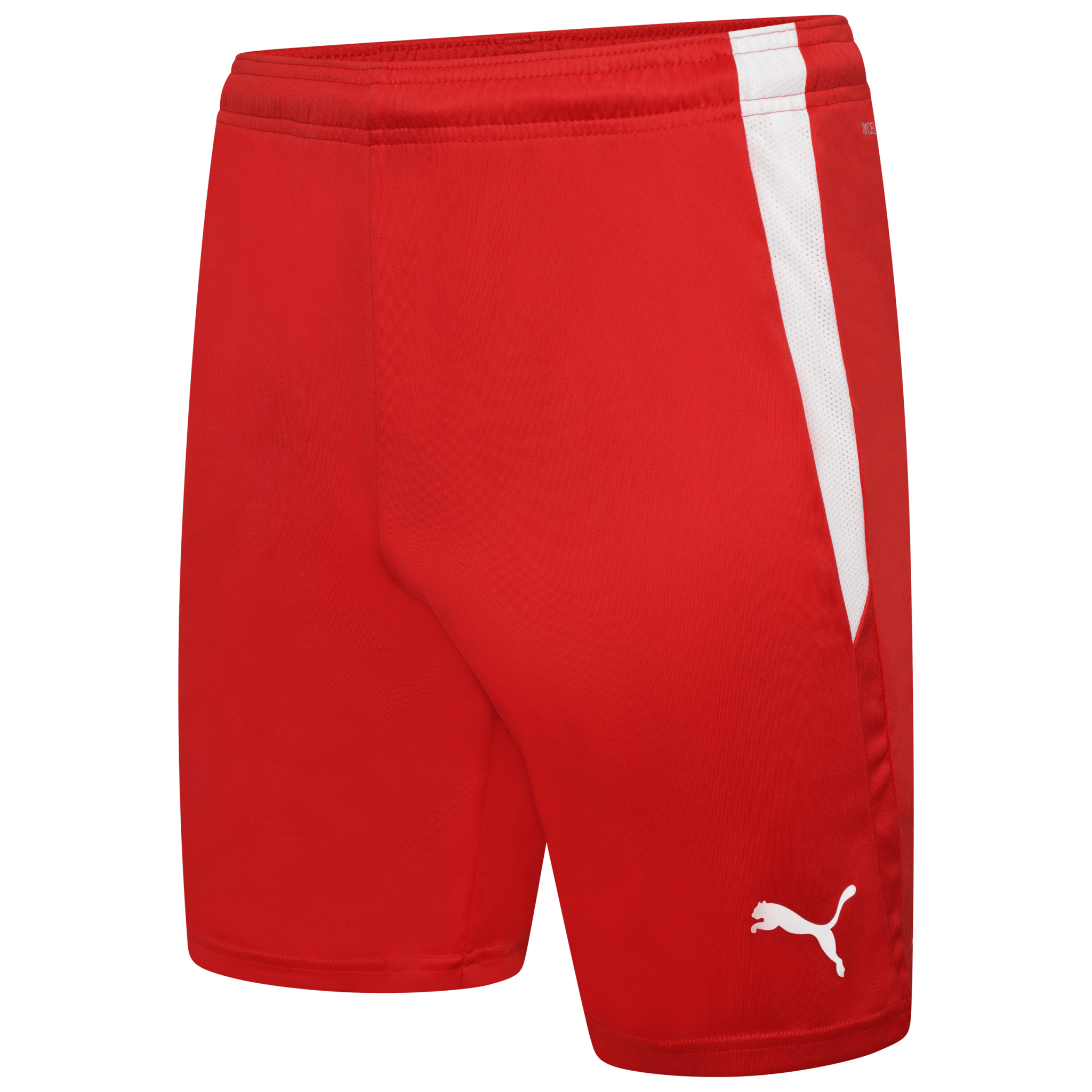 PUMA Team Liga Shorts - Best Buy Soccer