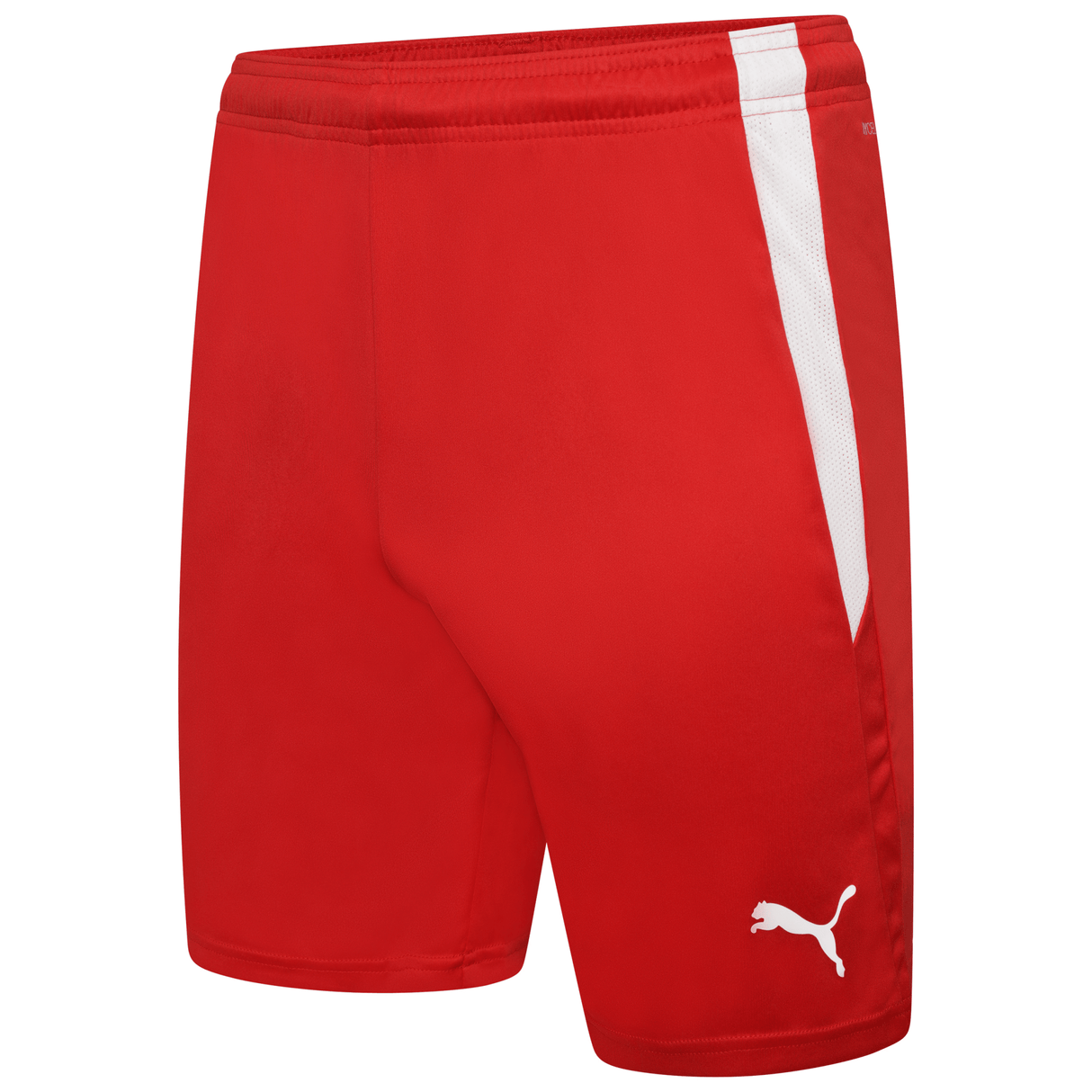 PUMA Team Liga Shorts - Best Buy Soccer
