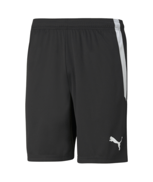 PUMA Team Liga Shorts - Best Buy Soccer