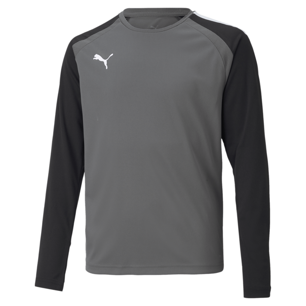 PUMA Team Pacer Goalkeeper Jersey LS - Best Buy Soccer