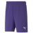 PUMA Team Rise Shorts - Best Buy Soccer