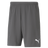 PUMA Team Rise Shorts - Best Buy Soccer