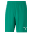 PUMA Team Rise Shorts - Best Buy Soccer