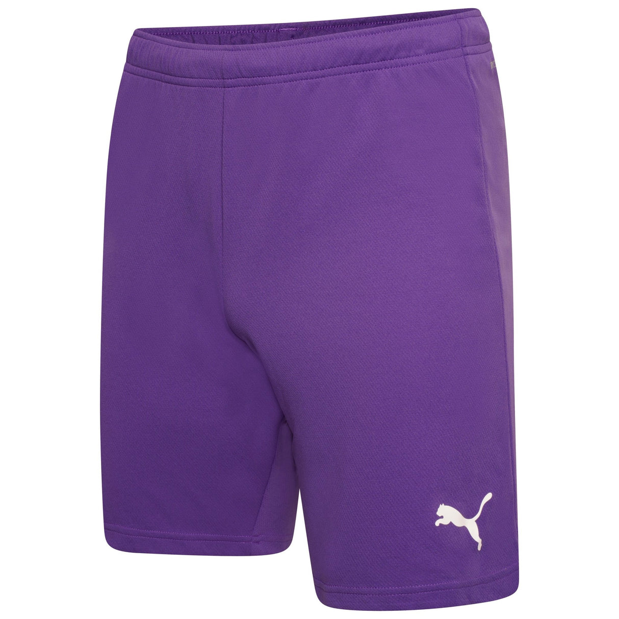 PUMA Team Rise Shorts Youth - Best Buy Soccer