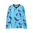 PUMA Team Target Goalkeeper Long Sleeve Jersey - Best Buy Soccer