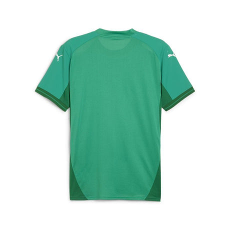 PUMA TeamFINAL Jersey - Best Buy Soccer