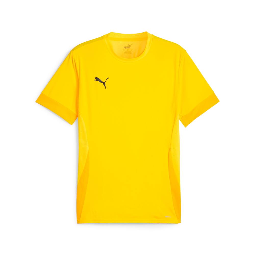 PUMA Teamgoal Matchday Jersey - Best Buy Soccer