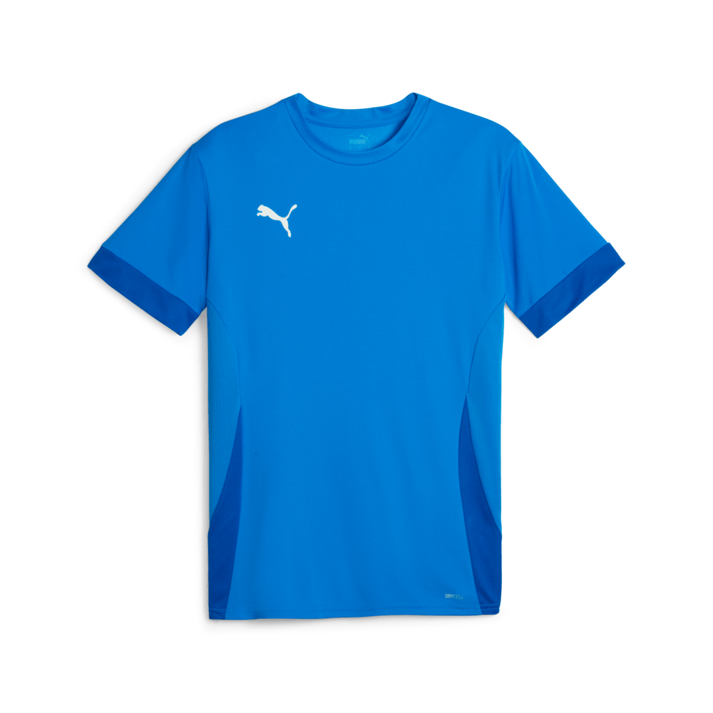 PUMA Teamgoal Matchday Jersey - Best Buy Soccer