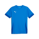 PUMA Teamgoal Matchday Jersey - Best Buy Soccer