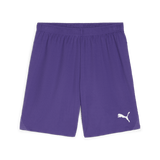 PUMA Teamgoal Shorts - Best Buy Soccer