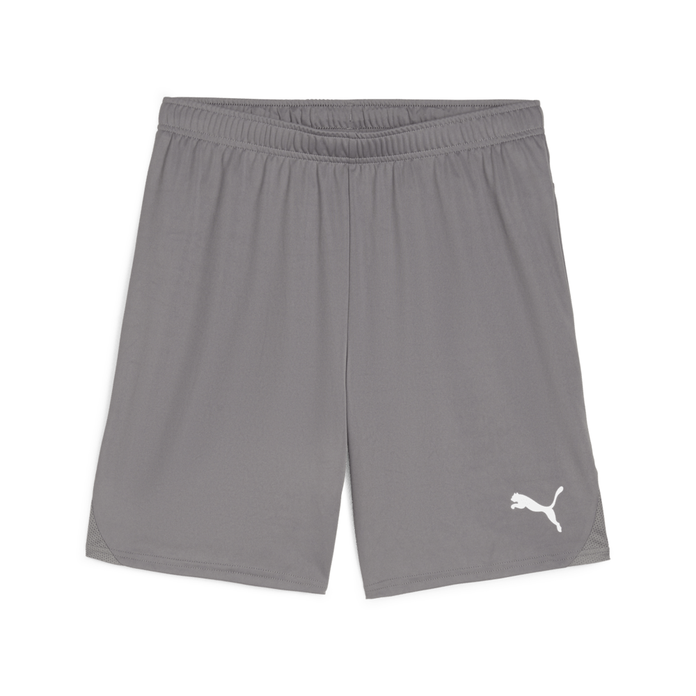 PUMA Teamgoal Shorts - Best Buy Soccer