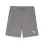 PUMA Teamgoal Shorts - Best Buy Soccer