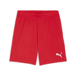PUMA Teamgoal Shorts - Best Buy Soccer