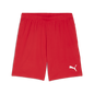 PUMA Teamgoal Shorts - Best Buy Soccer