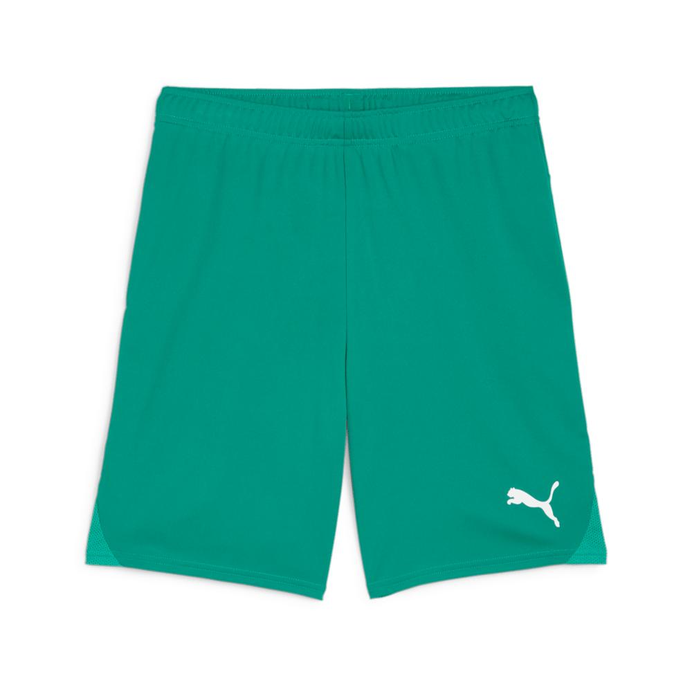 PUMA Teamgoal Shorts - Best Buy Soccer