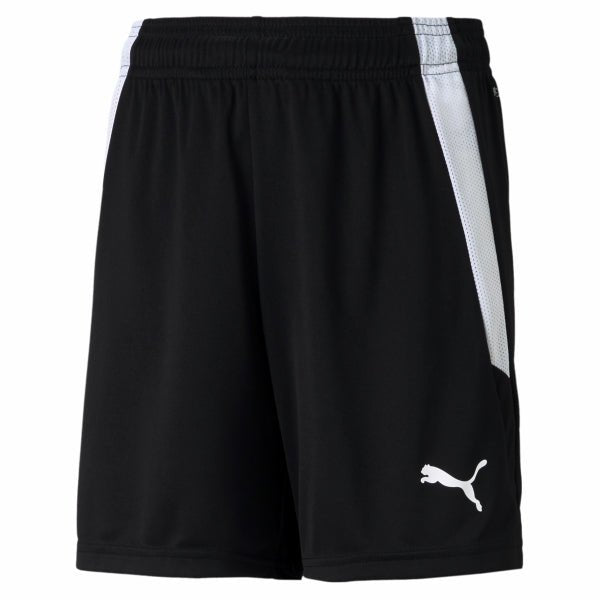 PUMA Teamliga Shorts Womens - Best Buy Soccer