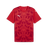 PUMA Teamultimate Jersey - Best Buy Soccer