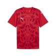 PUMA Teamultimate Jersey - Best Buy Soccer