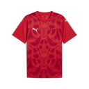 PUMA Teamultimate Jersey - Best Buy Soccer