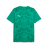 PUMA Teamultimate Jersey - Best Buy Soccer