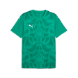 PUMA Teamultimate Jersey - Best Buy Soccer