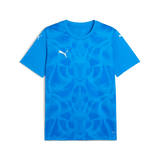 PUMA Teamultimate Jersey - Best Buy Soccer