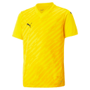 PUMA TeamULTIMATE Jersey - Best Buy Soccer